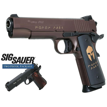 SIG SAUER 1911 45ACP SPARTAN 2 GUN PACKAGE - $2550.99 - $2,550.99