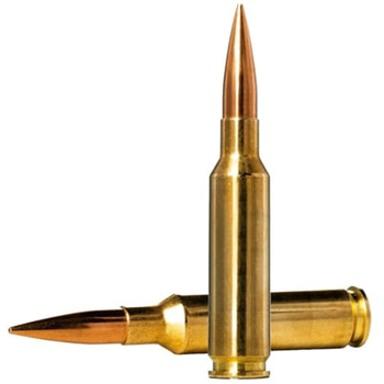 Norma Golden Target 6.5 Creedmoor 143gr Centerfire Rifle Ammo (20/box) - $32.99 + Free S/H - $32.99