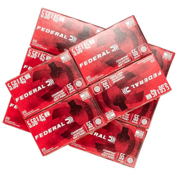 Federal Champion 5.56X45 -55 Grain Jsp (500 Rounds) - $326.99 + Free Shipping - $326.99
