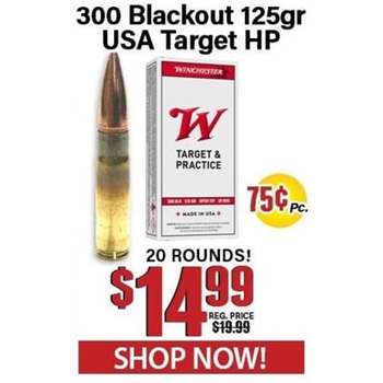 Winchester 300 Blackout 125 Grain USA Target Hollow Point 20 Rounds - $14.99 - $14.99