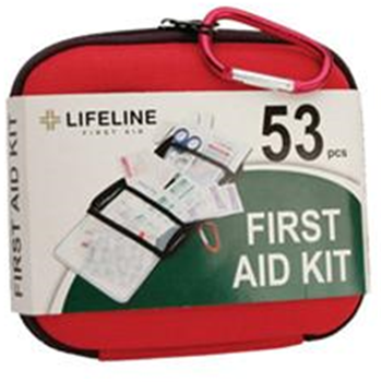   Lifeline #4404, Medium First Aid Kit, 53 Pcs - $10.91 & FREE Shipping