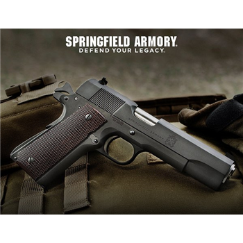   Springfield Armory DEFENDER MIL SPEC PARK .45 - $642.99 (Free S/H over $750) - $642.99