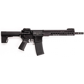   Armalite M15 - USED - $1052.99 (Free S/H) - $1,052.99