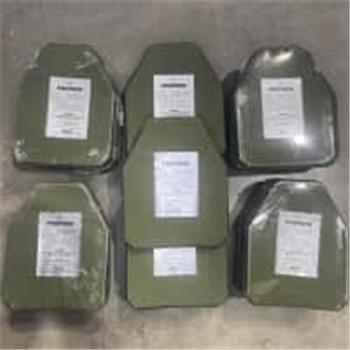 Protech Tactical 2014MC NIJ Rated Level 4 Mult-Curv 10x12 Plates - $110.00 - $110.00