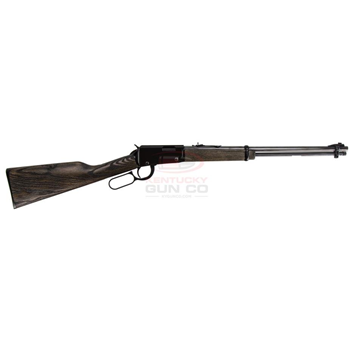 Henry Garden Gun Smoothbore 22 LR 18.5" Blued 15rd - $396.99 (Free S/H on Firearms) - $396.99