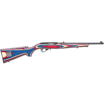Ruger 10/22 Team USA Takedown .22 LR 18.5" Barrel 10 Rnd - $553.99 - $553.99